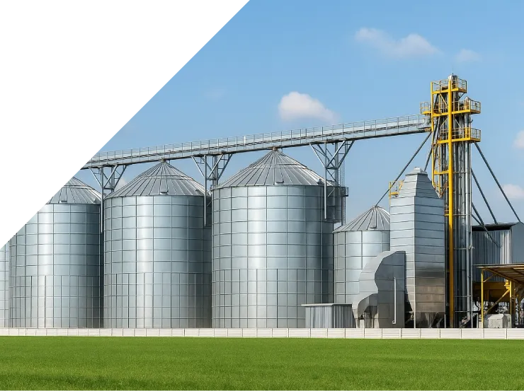 Eficiencia operativa